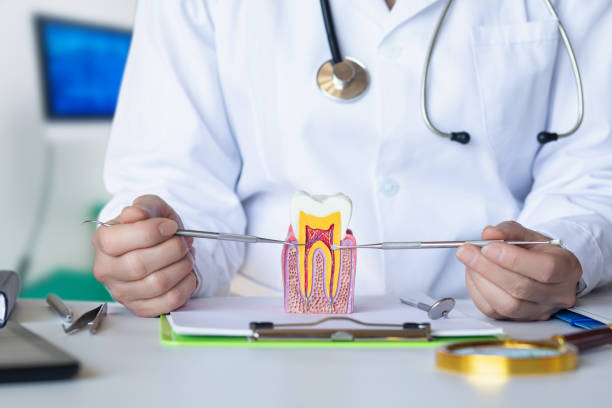 Best Emergency Wisdom Tooth Extraction in Mancelona, MI